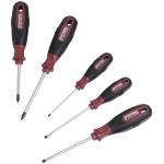 Kraftwerk Tools 4163 Serie di giraviti Intaglio/PZ ERGOKRAFT, 5 pz.