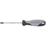 Kraftwerk Tools 305.103.030 Giravite TX BASIC LINE T30 x 100 mm